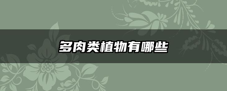 多肉类植物有哪些