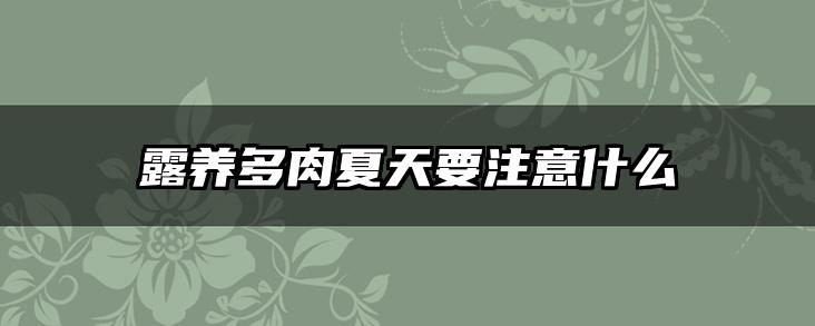 露养多肉夏天要注意什么
