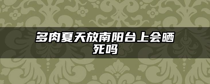 多肉夏天放南阳台上会晒死吗
