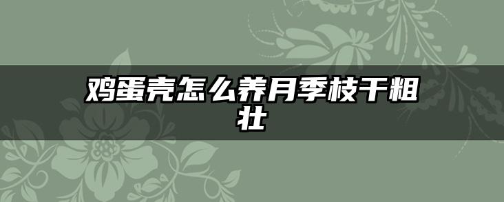 鸡蛋壳怎么养月季枝干粗壮