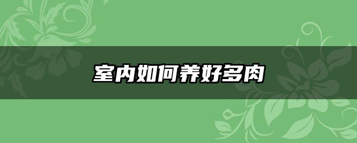 室内如何养好多肉