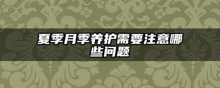 夏季月季养护需要注意哪些问题