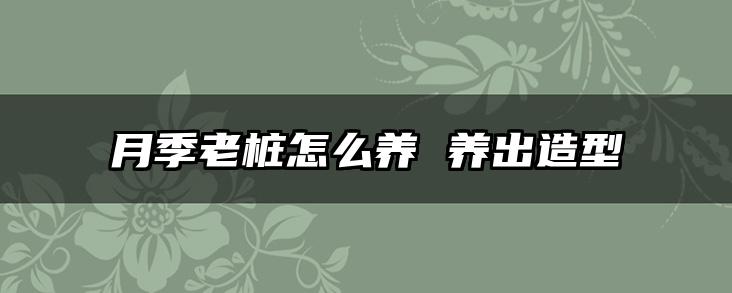 月季老桩怎么养 养出造型