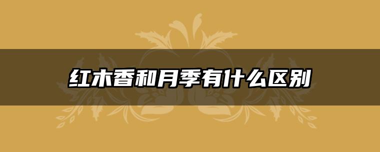 红木香和月季有什么区别