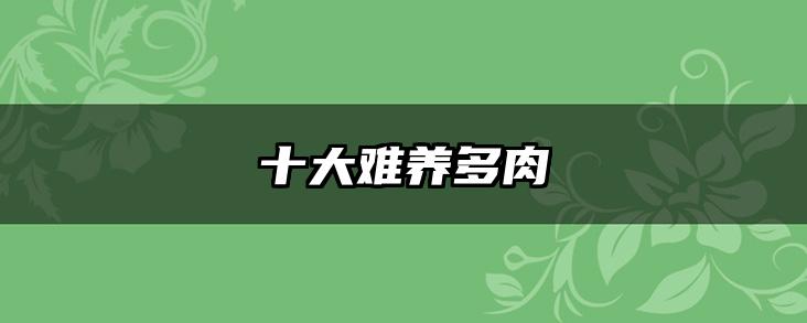 十大难养多肉
