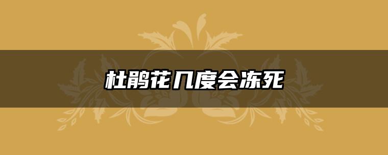 杜鹃花几度会冻死