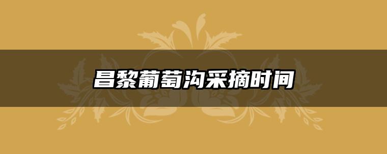 昌黎葡萄沟采摘时间