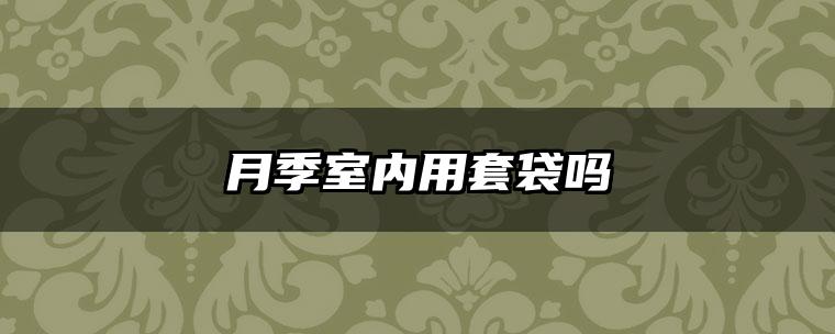 月季室内用套袋吗