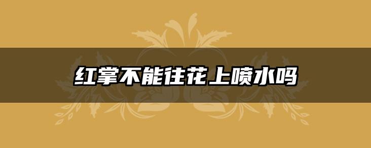 红掌不能往花上喷水吗