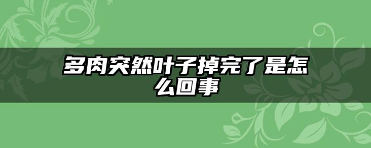 多肉突然叶子掉完了是怎么回事