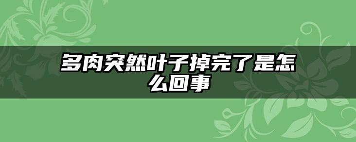 多肉突然叶子掉完了是怎么回事