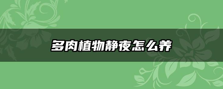 多肉植物静夜怎么养