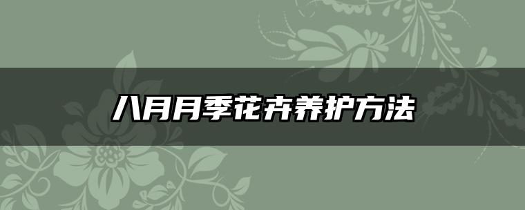 八月月季花卉养护方法