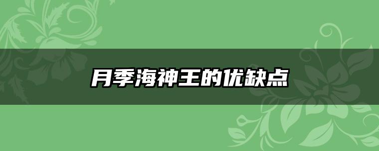 月季海神王的优缺点