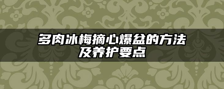 多肉冰梅摘心爆盆的方法及养护要点