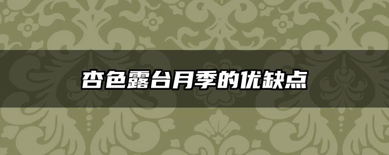 杏色露台月季的优缺点