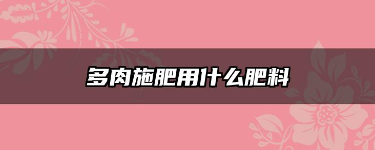 多肉施肥用什么肥料