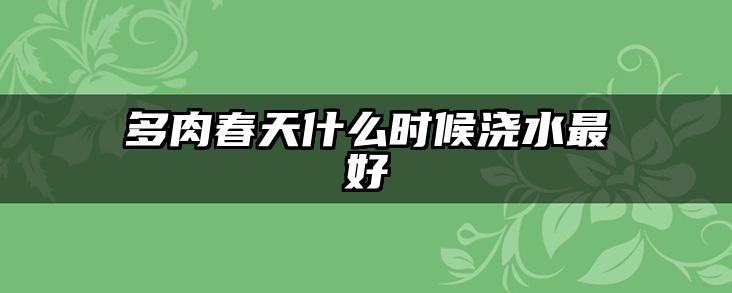 多肉春天什么时候浇水最好
