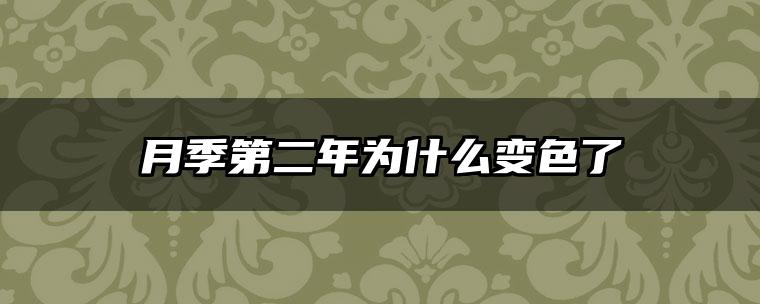 月季第二年为什么变色了