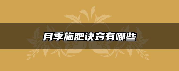月季施肥诀窍有哪些