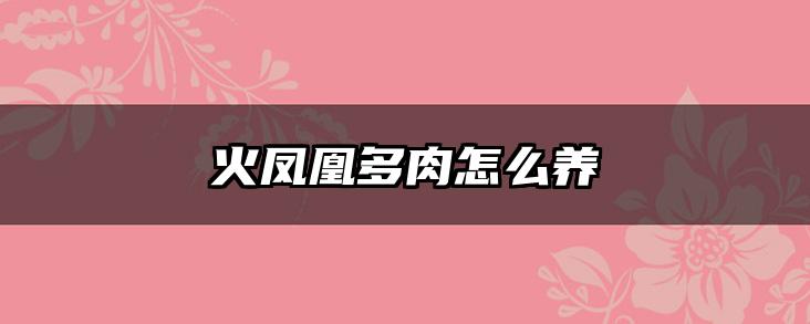 火凤凰多肉怎么养