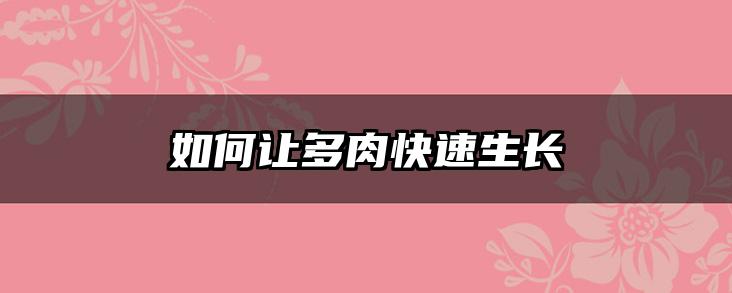 如何让多肉快速生长