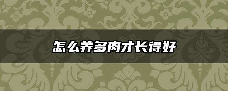 怎么养多肉才长得好