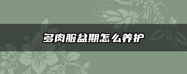 多肉服盆期怎么养护
