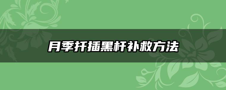 月季扦插黑杆补救方法