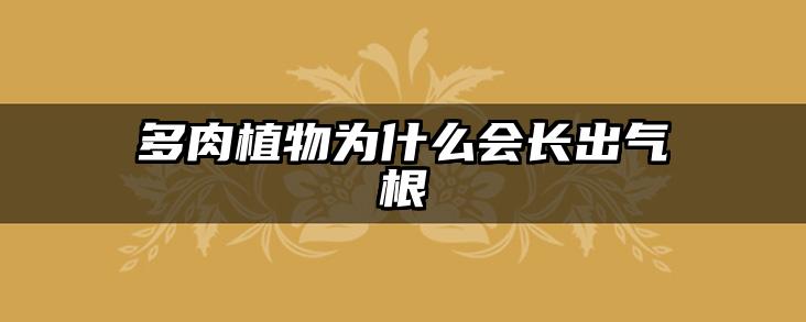多肉植物为什么会长出气根