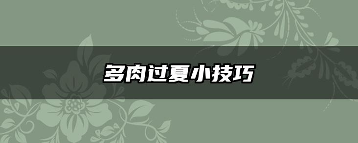 多肉过夏小技巧