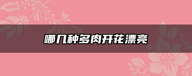 哪几种多肉开花漂亮