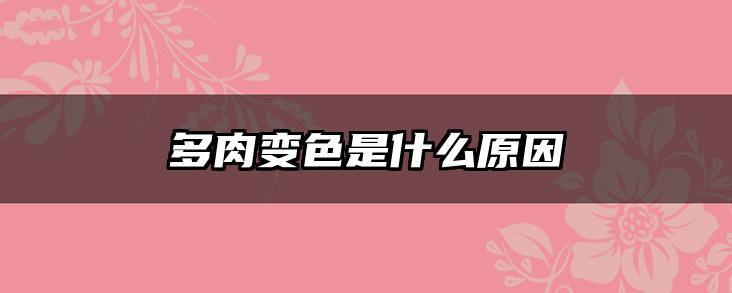 多肉变色是什么原因