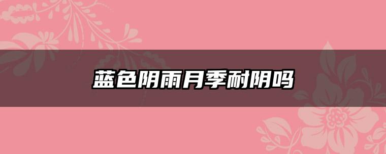 蓝色阴雨月季耐阴吗