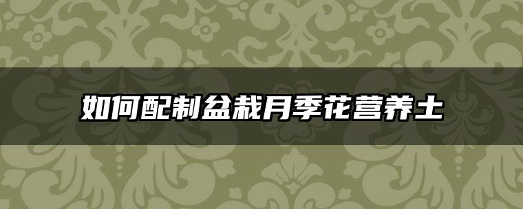 如何配制盆栽月季花营养土