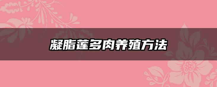 凝脂莲多肉养殖方法