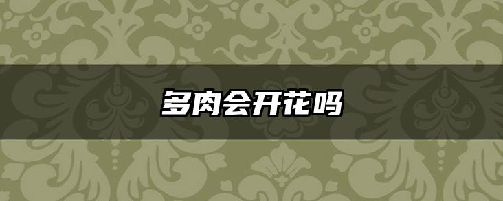 多肉会开花吗