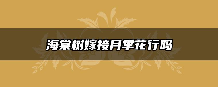 海棠树嫁接月季花行吗