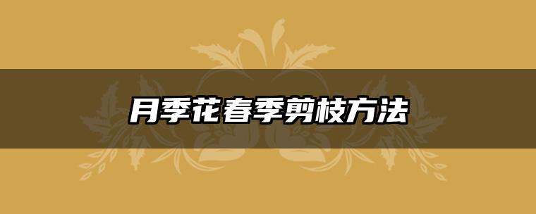 月季花春季剪枝方法