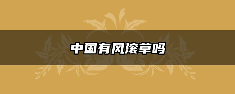 中国有风滚草吗
