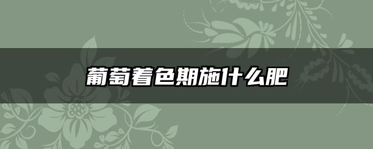 葡萄着色期施什么肥