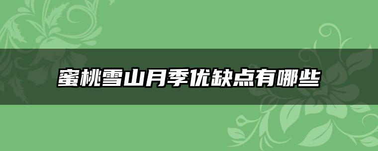 蜜桃雪山月季优缺点有哪些