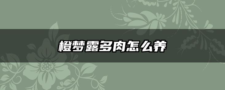 橙梦露多肉怎么养