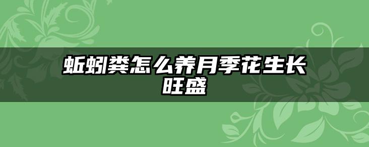 蚯蚓粪怎么养月季花生长旺盛