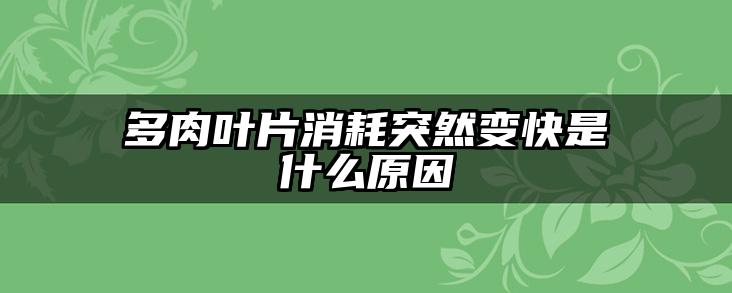 多肉叶片消耗突然变快是什么原因