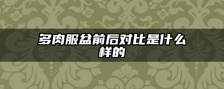 多肉服盆前后对比是什么样的