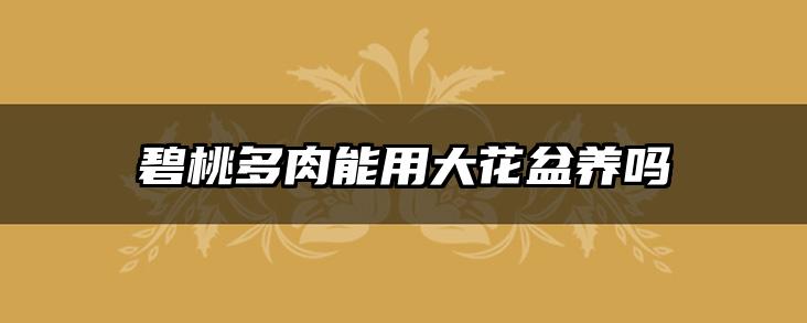 碧桃多肉能用大花盆养吗