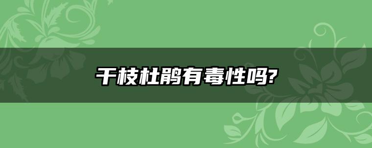 干枝杜鹃有毒性吗?