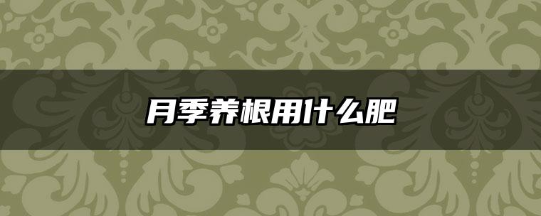 月季养根用什么肥