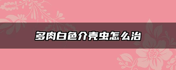 多肉白色介壳虫怎么治